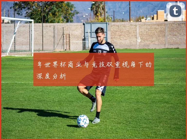年世界杯商业与竞技双重视角下的深度分析