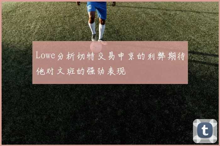 Lowe分析切特交易申京的利弊期待他对文班的强劲表现