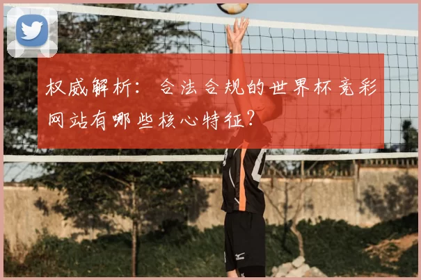 权威解析:合法合规的世界杯竞彩网站有哪些核心特征?
