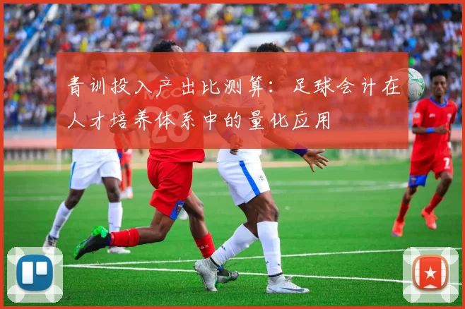 青训投入产出比测算:足球会计在人才培养体系中的量化应用