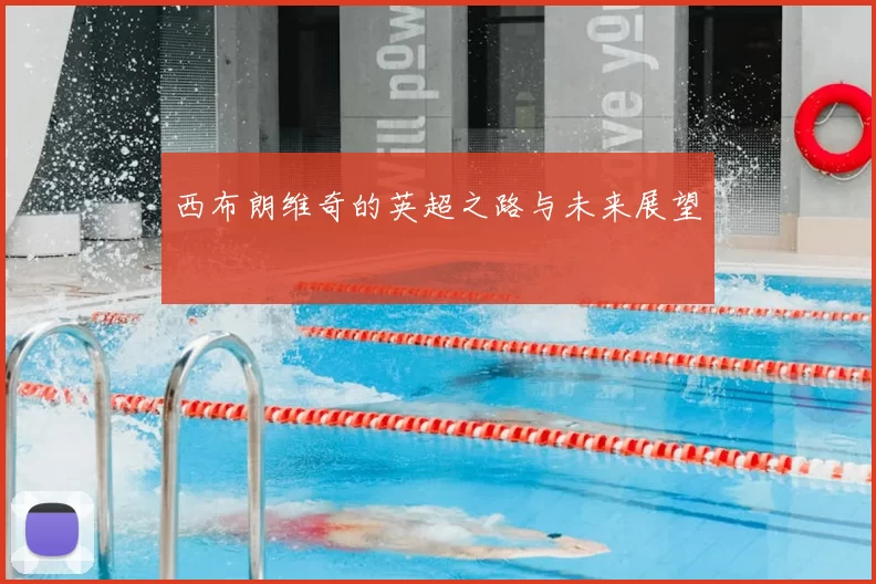 西布朗维奇的英超之路与未来展望