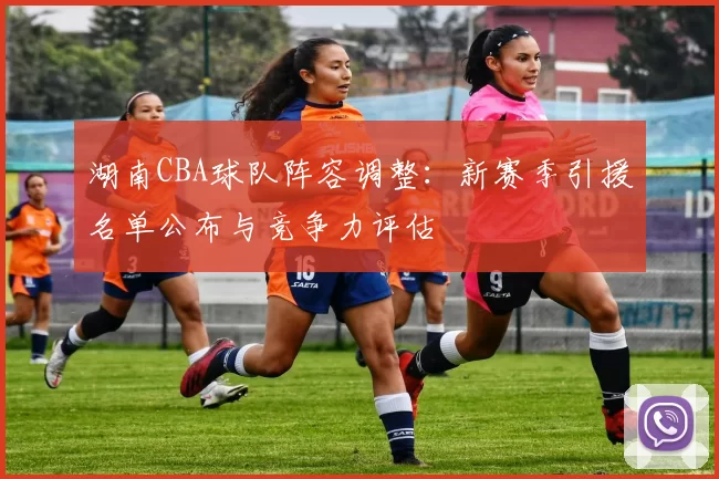 湖南CBA球队阵容调整：新赛季引援名单公布与竞争力评估