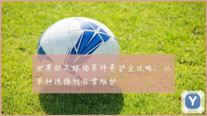世界杯足球场草坪养护全攻略:从草种选择到日常维护