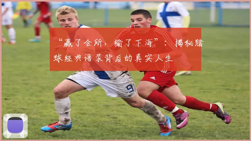 “赢了会所,输了下海”:揭秘赌球经典语录背后的真实人生