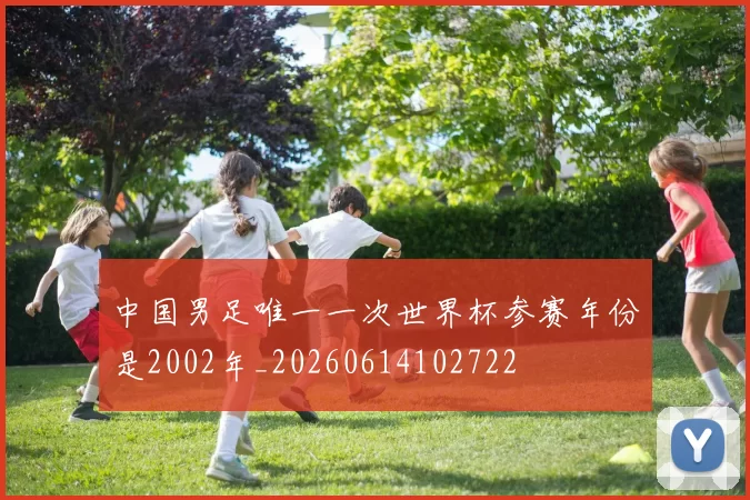 中国男足唯一一次世界杯参赛年份是2002年_20260614102722
