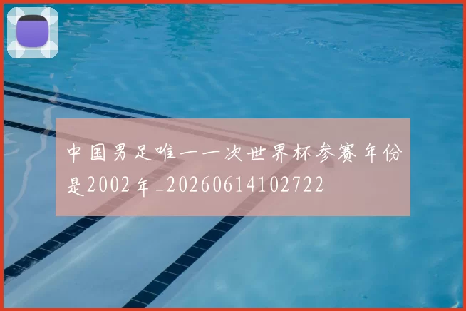 中国男足唯一一次世界杯参赛年份是2002年_20260614102722