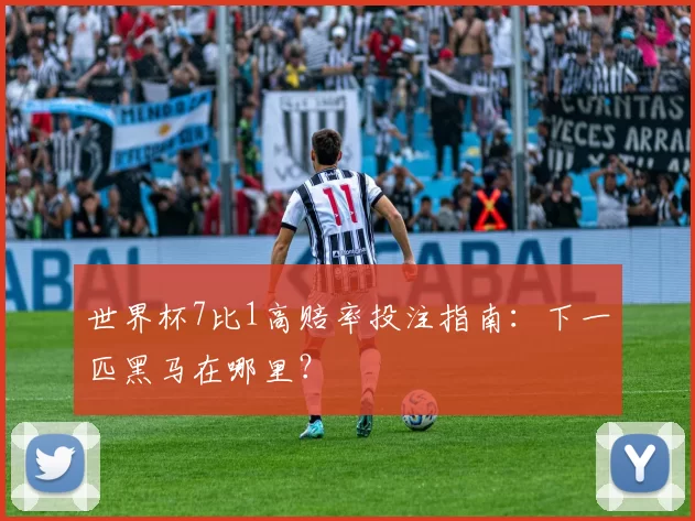 世界杯7比1高赔率投注指南：下一匹黑马在哪里？