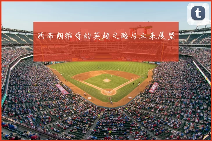 西布朗维奇的英超之路与未来展望