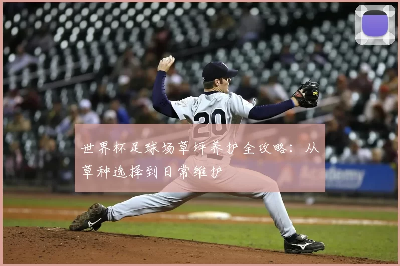 世界杯足球场草坪养护全攻略:从草种选择到日常维护
