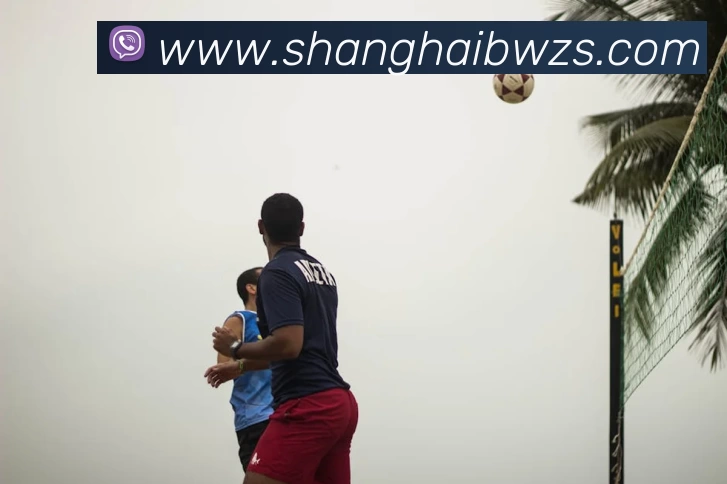 奖项证书